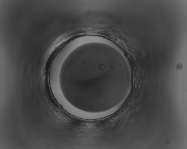 X0000095520295200801041229