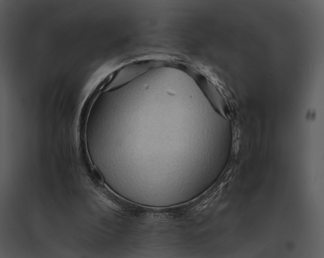 X0000095520296200801041229