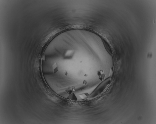 X0000095520297200801041229