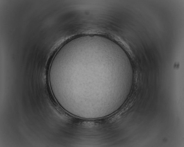 X0000095520298200801041229