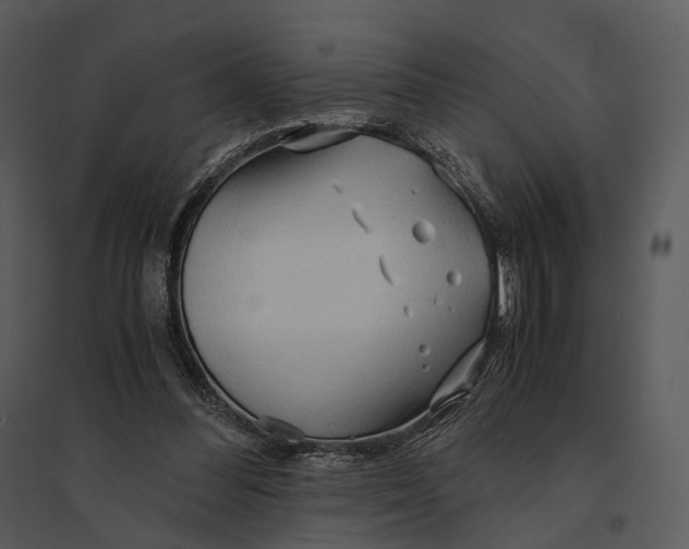 X0000095520300200801041229