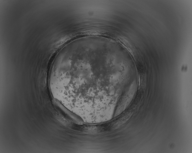 X0000095520301200801041229