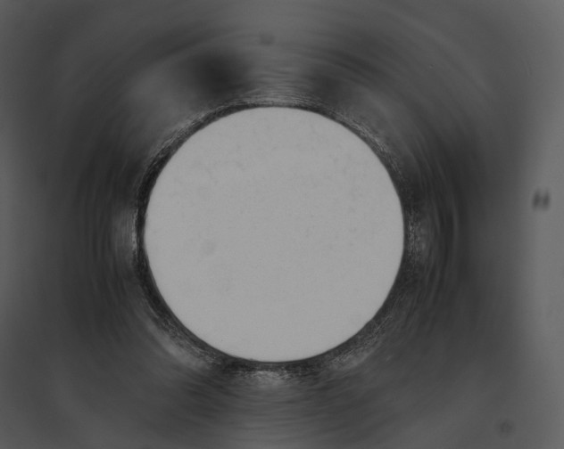 X0000095520302200801041229