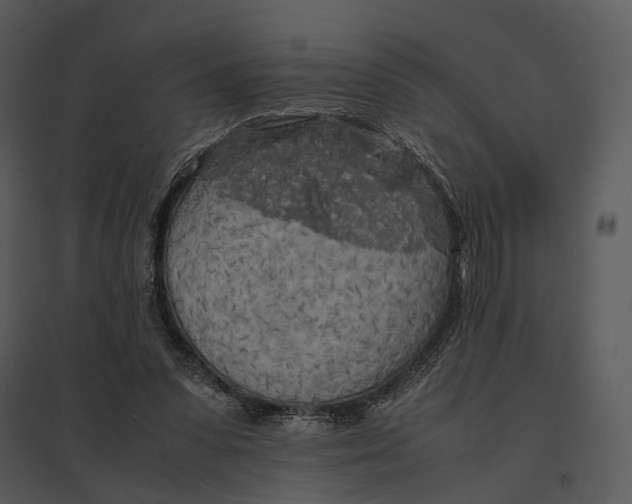 X0000095520303200801041229