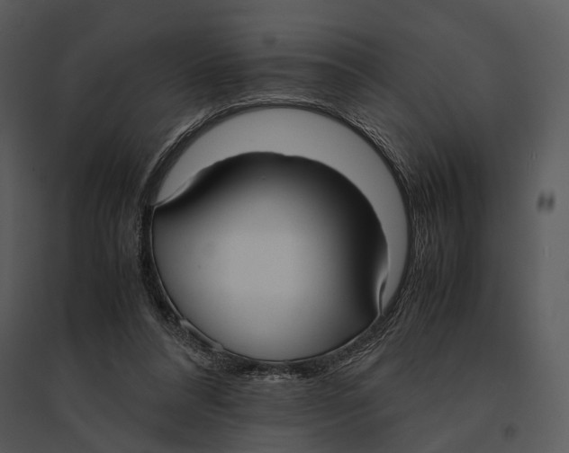 X0000095520304200801041229