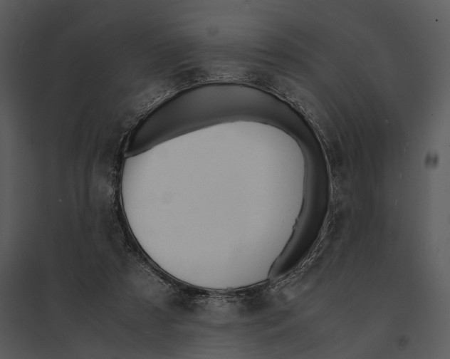 X0000095520305200801041229