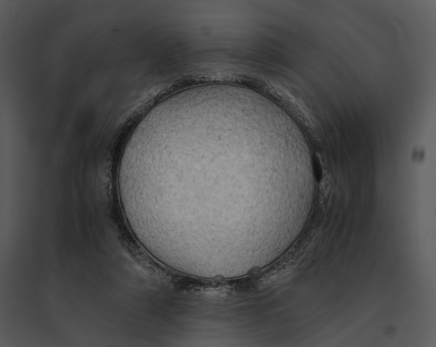 X0000095520306200801041229