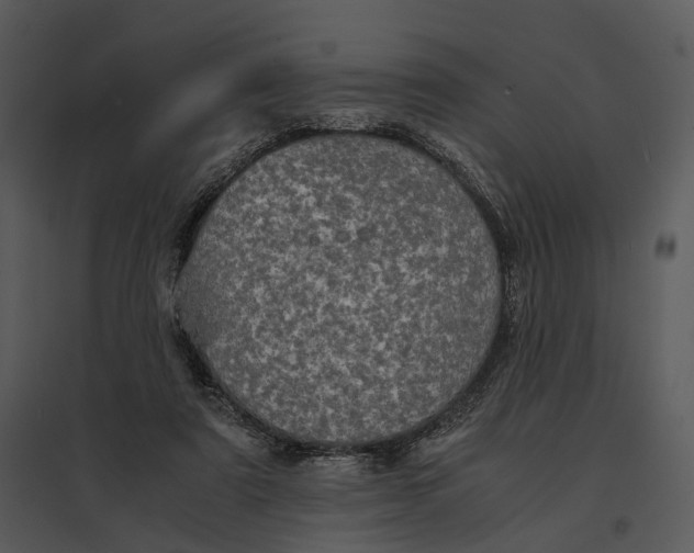 X0000095520307200801041229