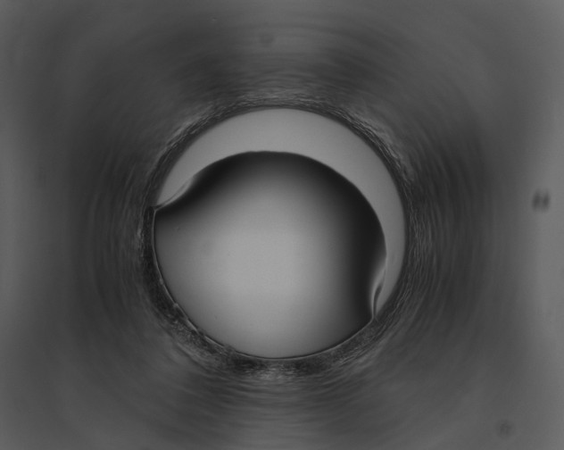 X0000095520308200801041229