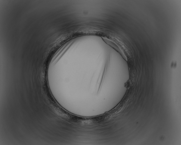 X0000095520309200801041229