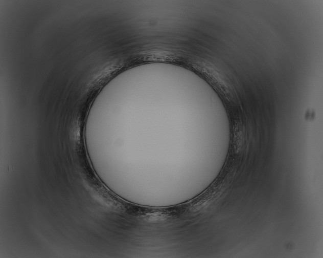 X0000095520310200801041229