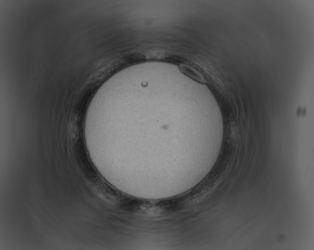 X0000095520311200801041229