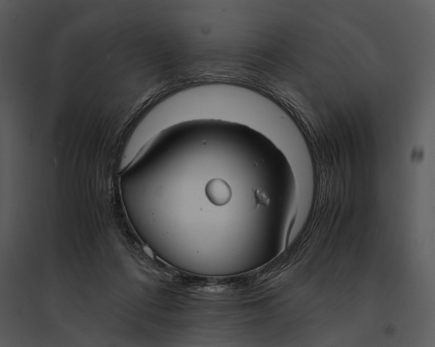 X0000095520312200801041229