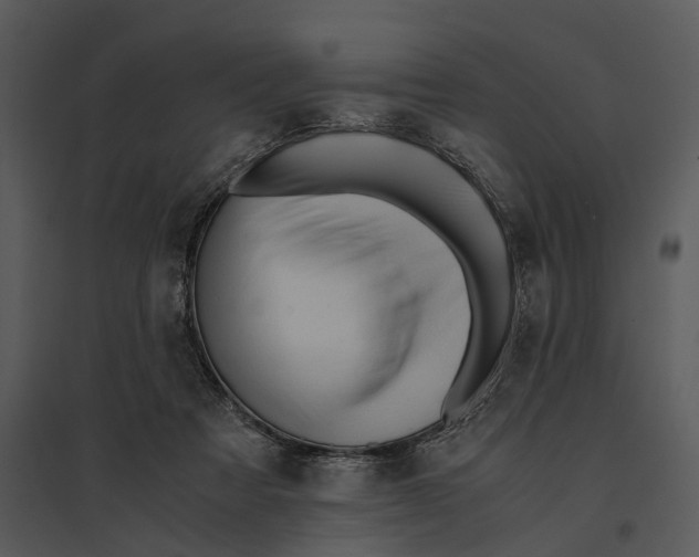 X0000095520313200801041229