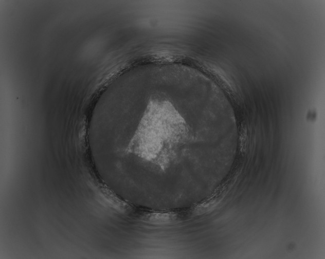 X0000095520314200801041229