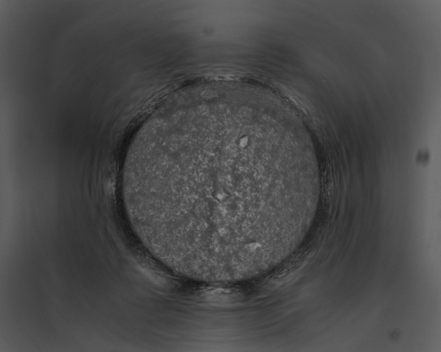 X0000095520315200801041229