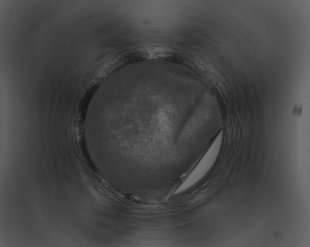 X0000095520316200801041229