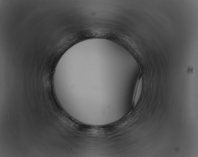 X0000095520317200801041229