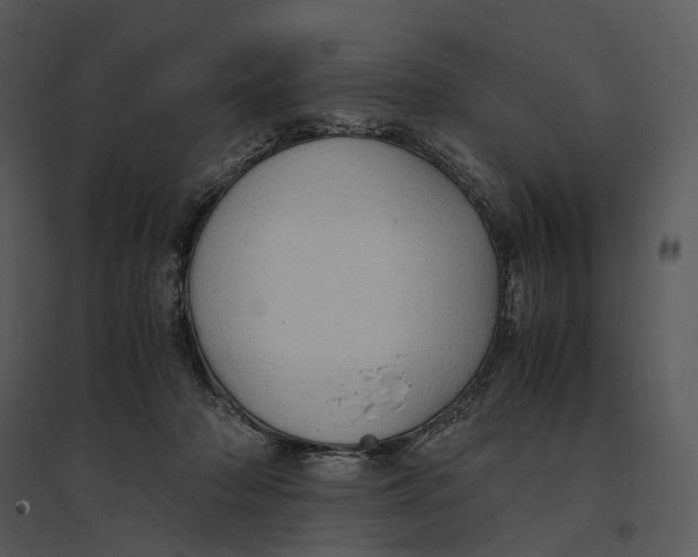 X0000095520318200801041229