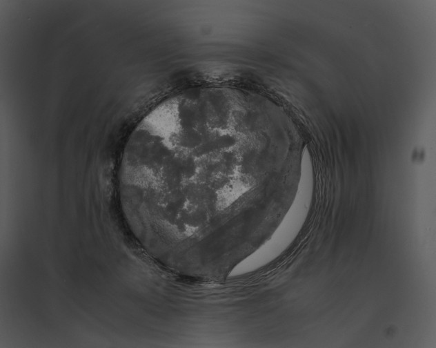 X0000095520319200801041229