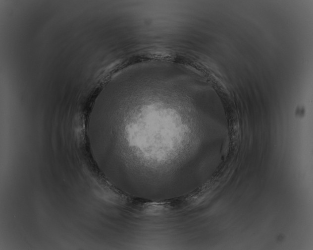 X0000095520320200801041229