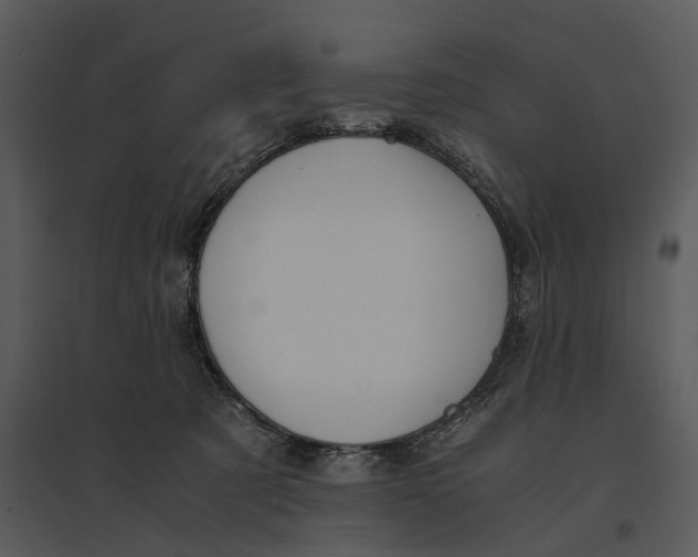 X0000095520321200801041229