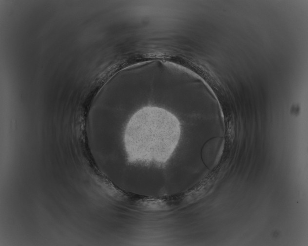 X0000095520322200801041229