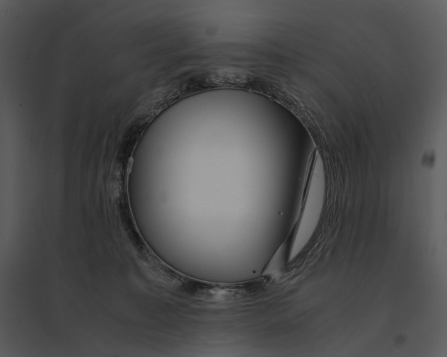 X0000095520323200801041229