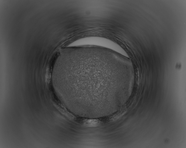 X0000095520324200801041229