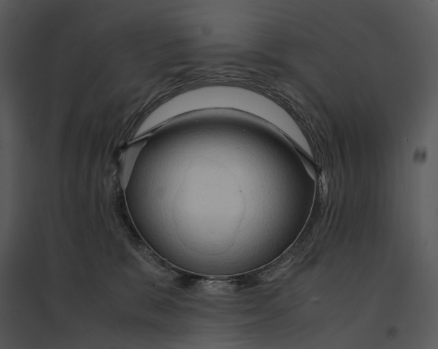 X0000095520327200801041229