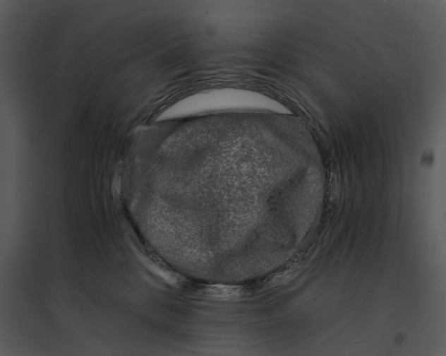 X0000095520328200801041229