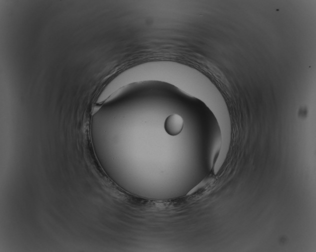 X0000095520329200801041229