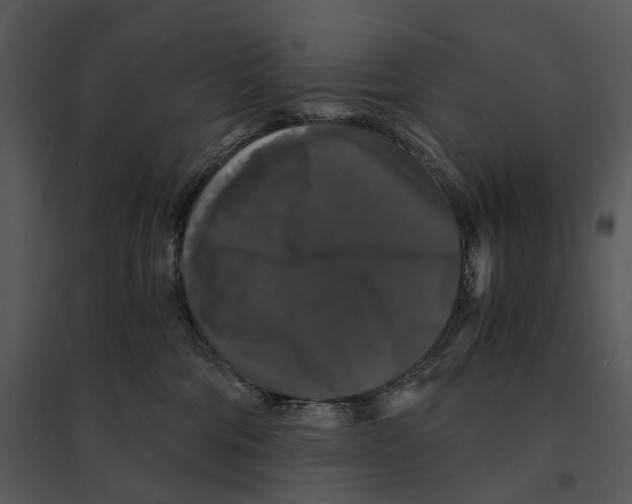 X0000095520330200801041229