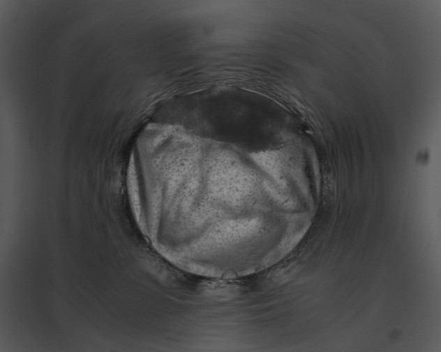 X0000095520331200801041229