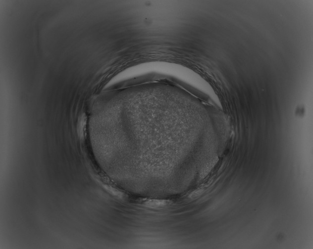 X0000095520332200801041229