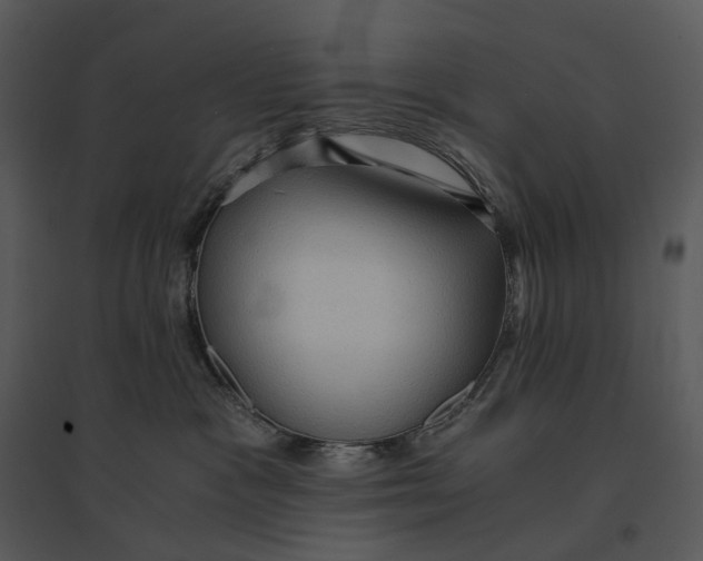 X0000095520333200801041229