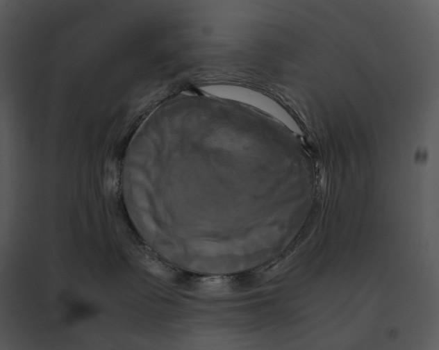 X0000095520335200801041228