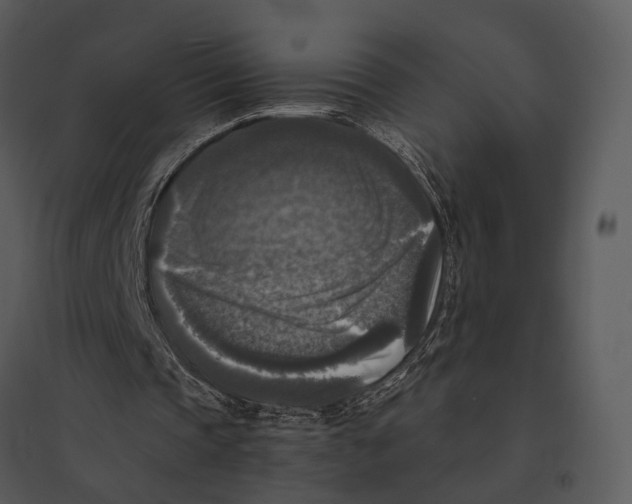 X0000095520337200801041228