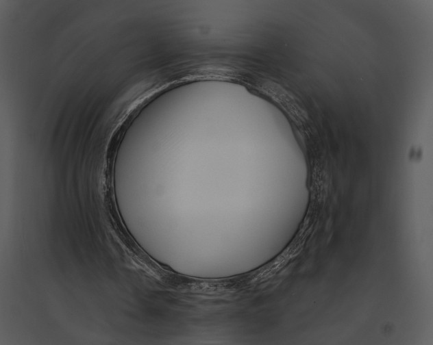 X0000095520338200801041228