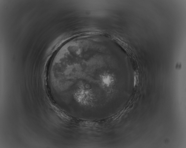 X0000095520339200801041228