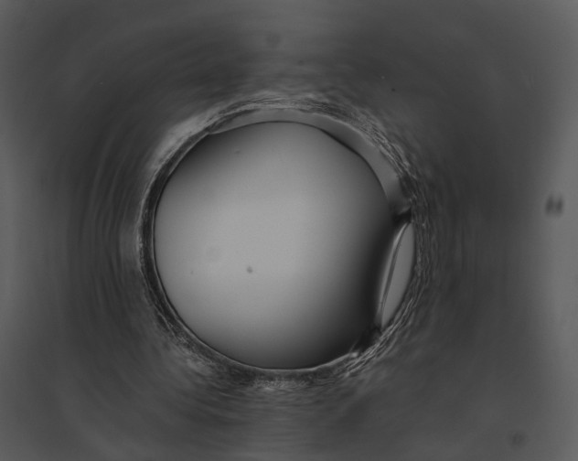 X0000095520340200801041228