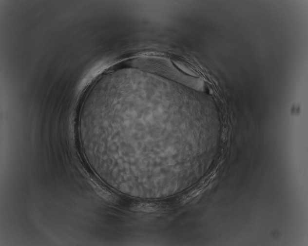 X0000095520341200801041228