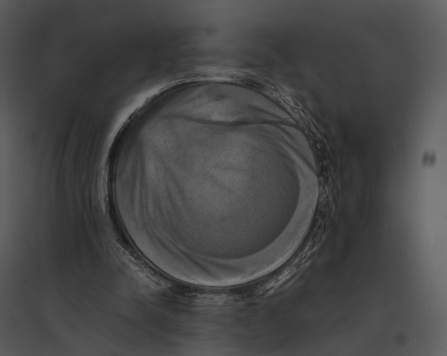 X0000095520342200801041228