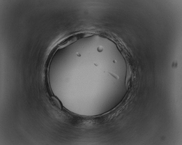 X0000095520344200801041228