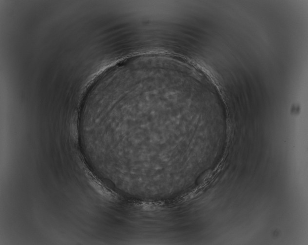 X0000095520345200801041228