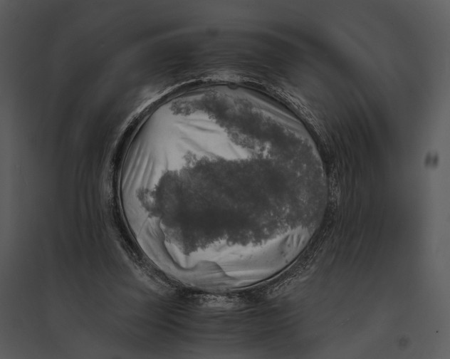 X0000095520347200801041228