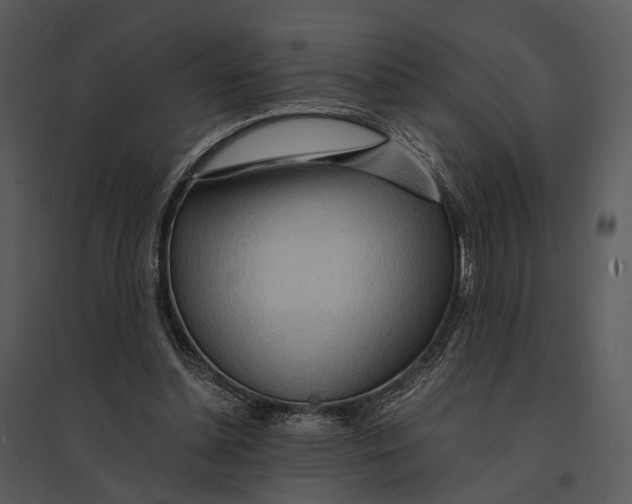 X0000095520348200801041228