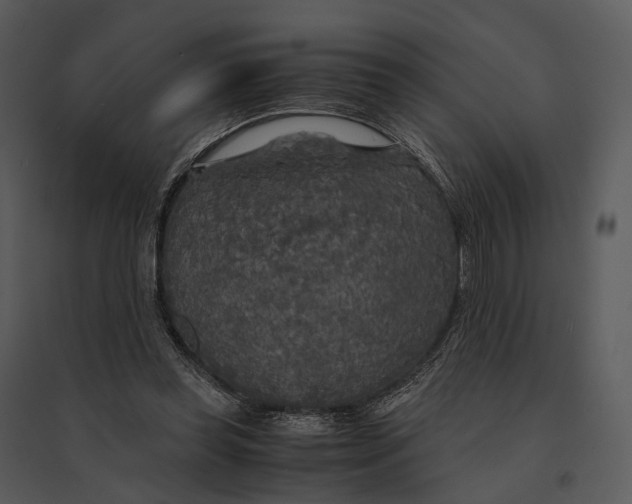 X0000095520349200801041228