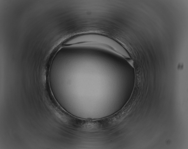 X0000095520350200801041228