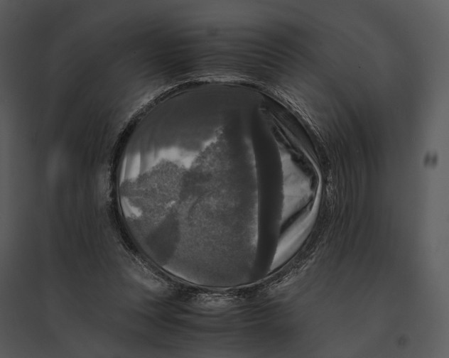 X0000095520351200801041228